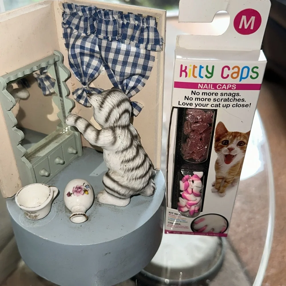 Two items for kitty home!
